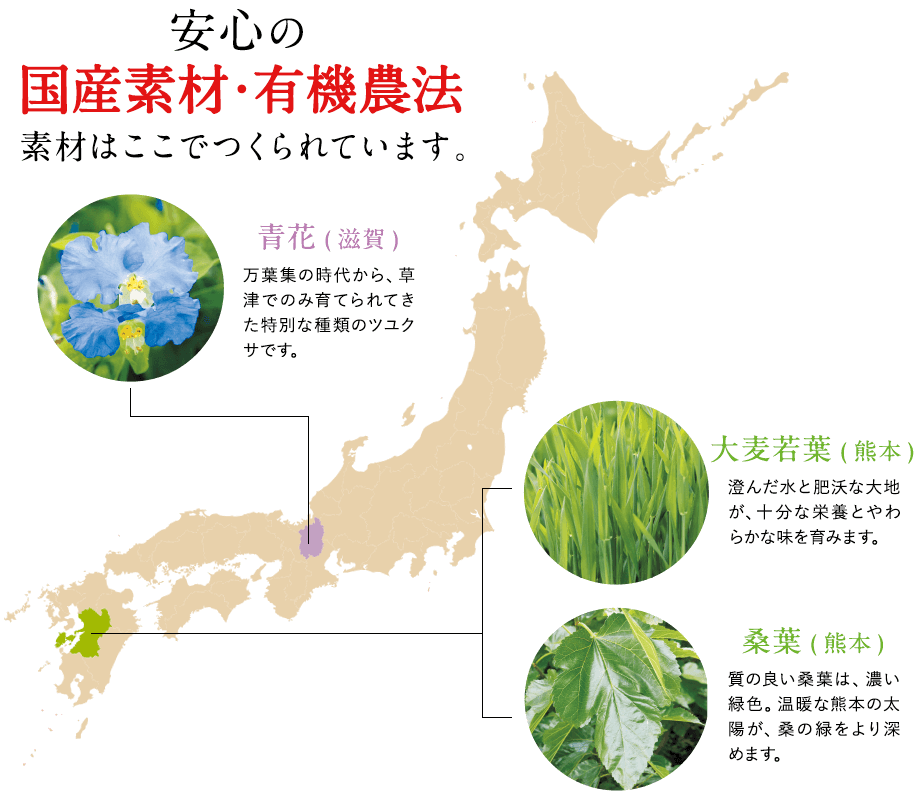 安心の国産素材・有機農法 素材はここでつくられています。大麦若葉(熊本)、桑葉(熊本)、青花(滋賀)